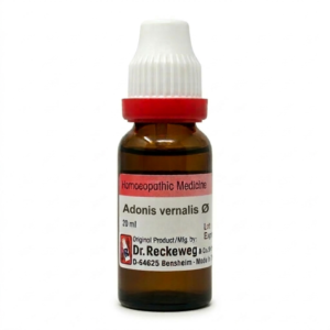 Dr Reckeweg Adonis Vernalis Q